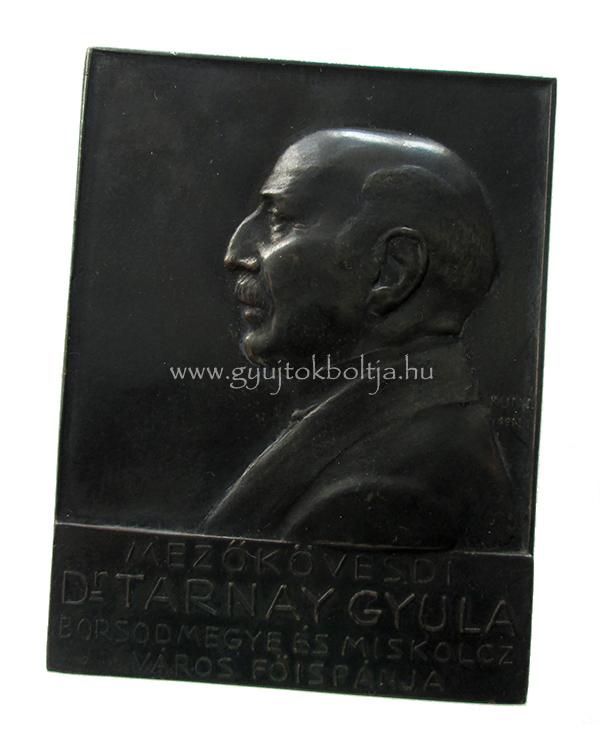 Kun J�zsef: Mez�k�vesdi Dr. Tarnay Gyula / Borsodmegye �s Miskolcz v�ros f�isp�nja /1913/